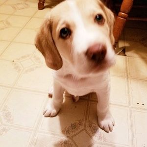 Meet your Posher, Shannon